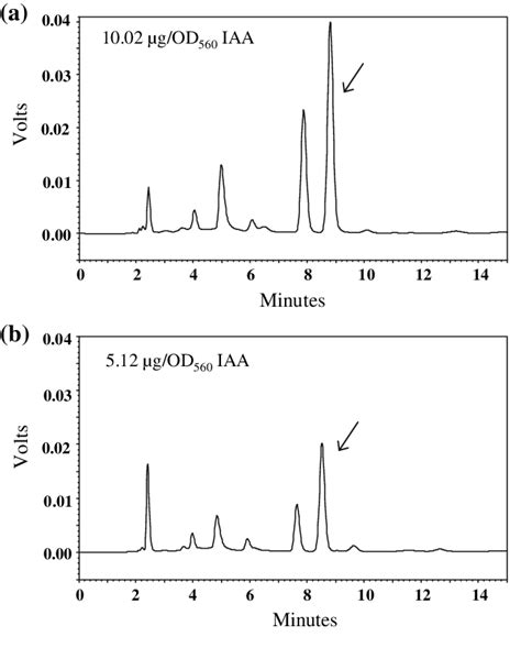 Hplc Analysis Of Ethyl Acetate Extracted Culture Filtrates For Iaa A Download Scientific