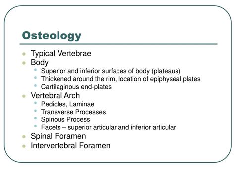 Ppt Vertebral Column Powerpoint Presentation Free Download Id 1284846