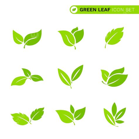 Leaf Organic Nature Vector Art Png Set Of Green Organic Leaf Logo Flat