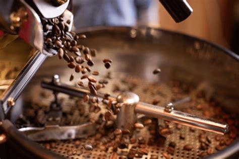 Why Fresh Roasting Matters: The Key to Exceptional Coffee Flavor ...