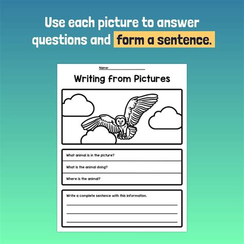 Sentence Writing Worksheets K 3rd Grade Sentence Structure Etsy