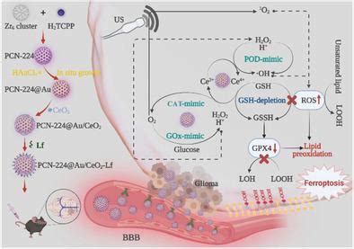 An Intelligent Nanoplatform For Orthotopic Glioblastoma Therapy By