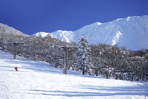 だいせんホワイトリゾート 鳥取大山観光ガイド