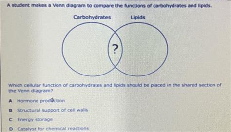 A Student Makes A Venn Diagram To Compare The Functions Of