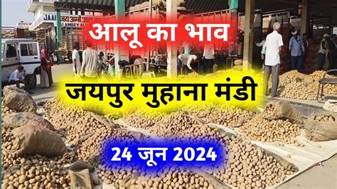 24 जून 2024 जयपुर आलू मंडी भाव आलू का भाव Today Potato Rate Jaipur