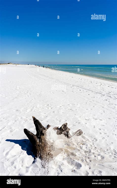 Beach In Gulf Islands National Seashore Pensacola Beach Santa Rosa Island Gulf Coast Florida