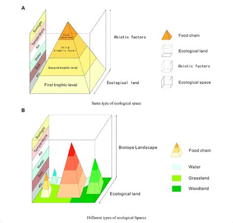 Ecological Space Schematic A Same Type Of Ecological Space B