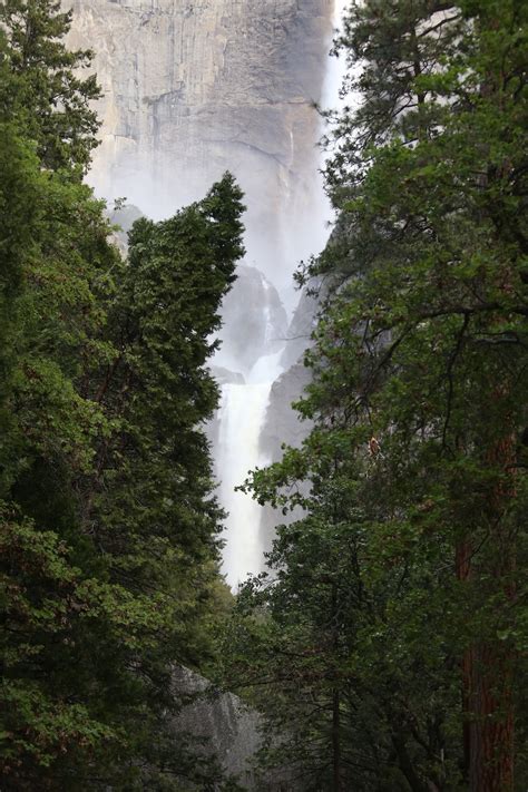 Green Trees Near Waterfalls During Daytime Photo Free Usa Image On