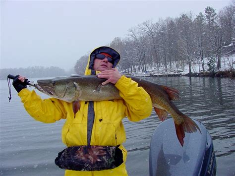 Northwoods Fishing Lakewoods Resort