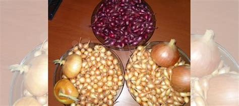 Лук севок купить в Туле | Товары для дома и дачи | Авито