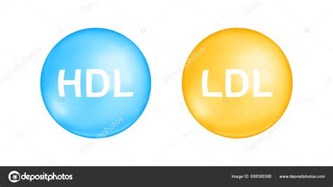 Hdl Ldl Cholesterol Types Good Bad Cholesterin Concept High Low Stock