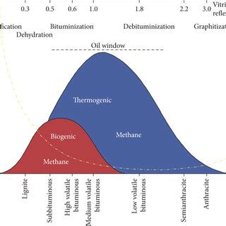 The diagram of the coalification process and fluid performance in coal... | Download Scientific ...