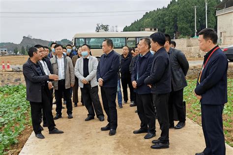 市人大常委会组织市人大代表视察代表建议办理情况发展工作市人民政府