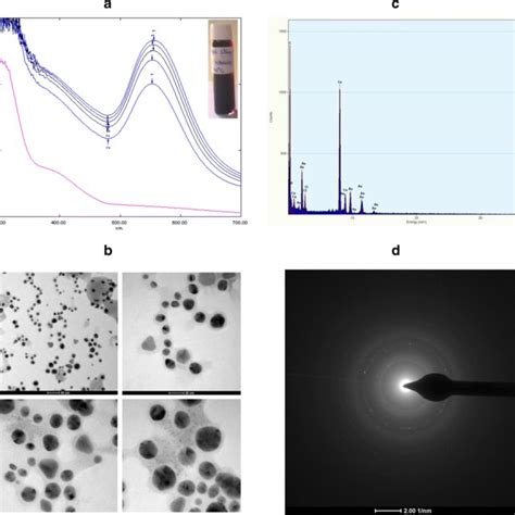 Characterization Of Gold Nanoparticles Biosynthesized From