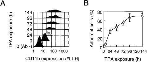 Tpa Induced Differentiation Of U Cells Cells Were Treated With