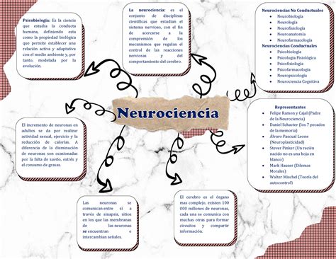 Neurociencia Semana Mapa Mental Psicobiolog A Es La Ciencia Que