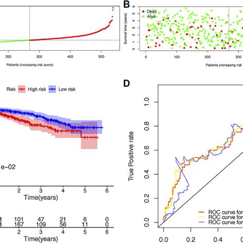 Construction Of The Risk Score Model Based On The Prognostic B Cell