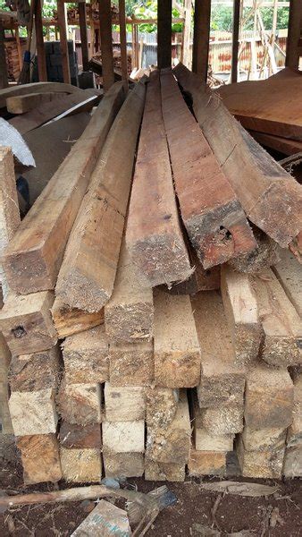 Jual Balok Kayu Alba X Dan X Di Lapak Pelangi Bukalapak