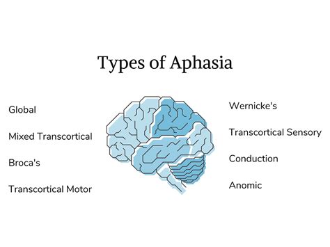 Types of Aphasia