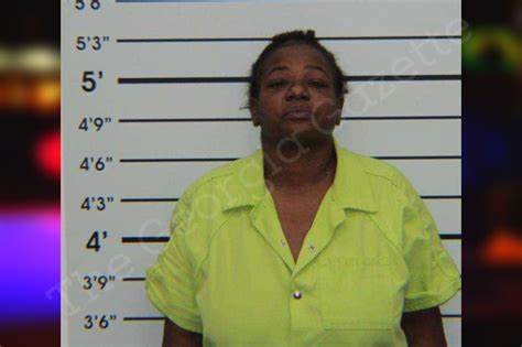 Gail McKinney Turner County Jail Bookings