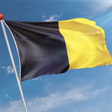 Vlag Sneek Kopen Snelle Levering Klantbeoordeling Vlaggen