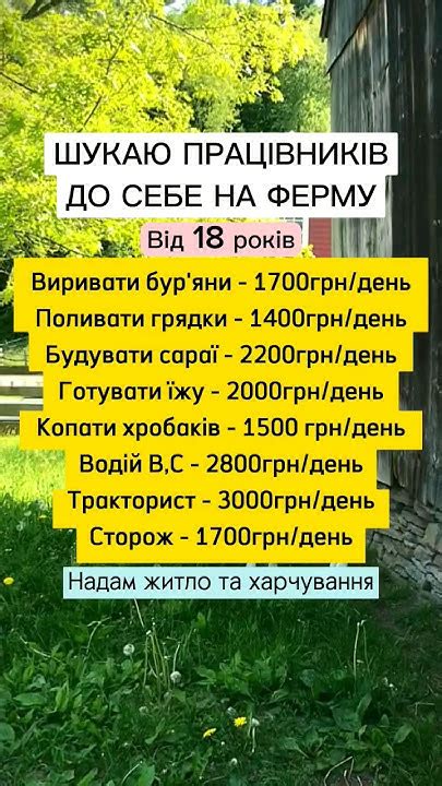 Робота на моїй фермі | вакансії в Україні без досвіду #робота #вакансії ...