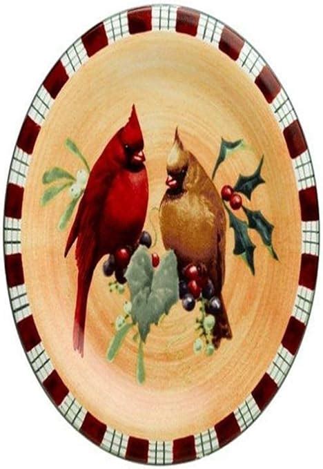 Amazon Lenox Winter Greetings Everyday Stoneware Cardinal Salad