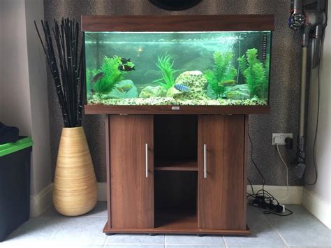 Jewel 180 3 Foot Fish Tank Aquarium Complete Set Up In Gloucester