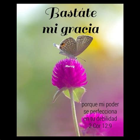 A Butterfly Sitting On Top Of A Purple Flower With The Words Bastate Mi