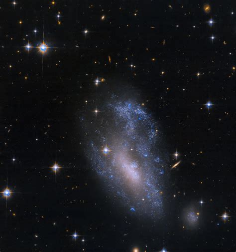 Hubble Space Telescope Looks At Distorted Spiral Galaxy Scinews