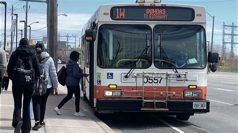 Toronto Transit Adventures Ttc And Miway Buses In Action Youtube