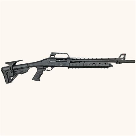 All Shotguns Tr Imports