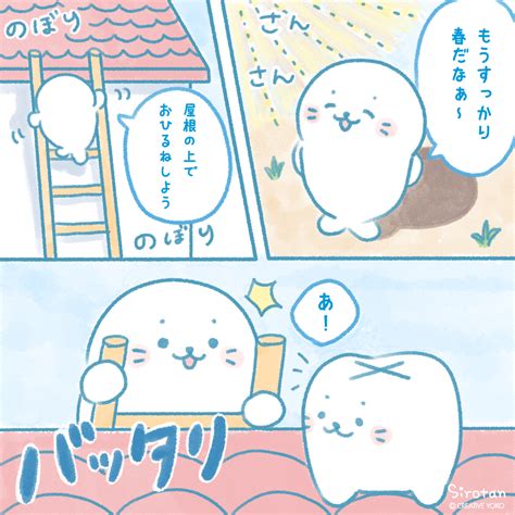 「🦷今日は よい歯の日 🦷 ぽかぽか陽気の日☀ しろたんがお昼寝しようと屋根にのぼると 良い歯の日 歯」しろたんの漫画