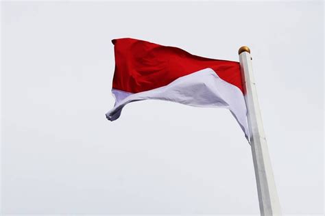 Prinsip Nasionalisme Dalam Nkri Yang Penting Dipahami Semua Warga