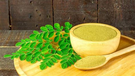 Os benefícios da moringa Conheça as 5 vantagens incríveis para a saúde