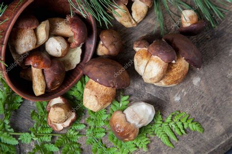 Composici N Oto Al De Boletus Badius Imleria Badia O Bay Bolete Y