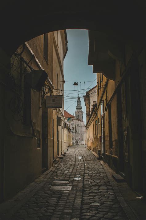 Duxbury Oyster Company Secrets: Why Locals Can’t Get Enough - Duxbury