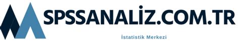 SPSS Analiz Nasıl Yapılır Adım Adım Kılavuz Spss Analiz Merkezi