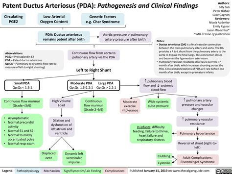 Patent Ductus Arteriosus PDA Pathogenesis And Clinical Findings