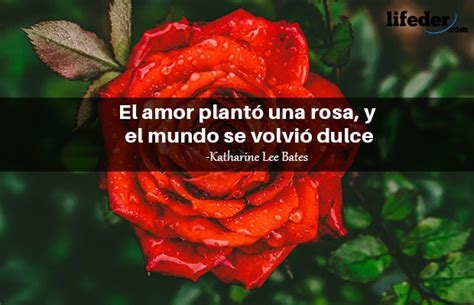 Total Imagen Las Rosas Tienen Espinas Frases Abzlocal Mx