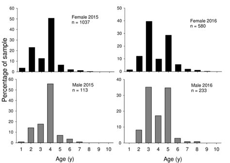 17 Male And Female Yellowfin Whiting Age Frequency Distributions In