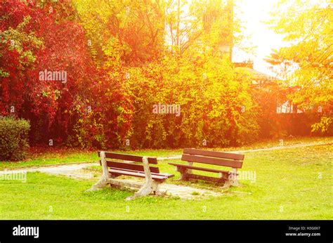 Autumn beautiful park Stock Photo - Alamy