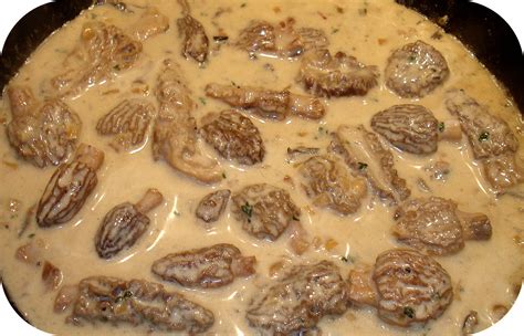 Sauce Aux Morilles Sauce Aux Morilles Sauce Aux Champignons Morilles