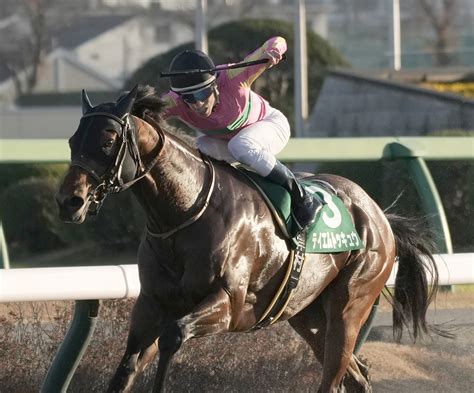 【東京スプリント】テイエムトッキュウは6枠10番へ 競馬ニュースなら競馬のおはなし