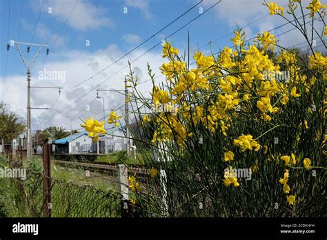 Rosebank cape town hi-res stock photography and images - Alamy