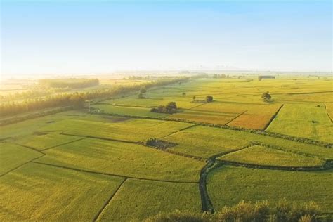 大国“粮”策 守好黑土地 筑牢大粮仓海口网