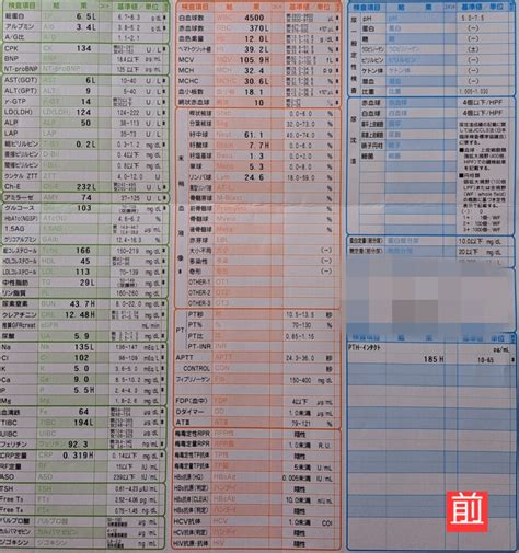 【2024年2月】在宅血液透析外来報告 腎生を善く生きる~在宅血液透析患者のリアル~