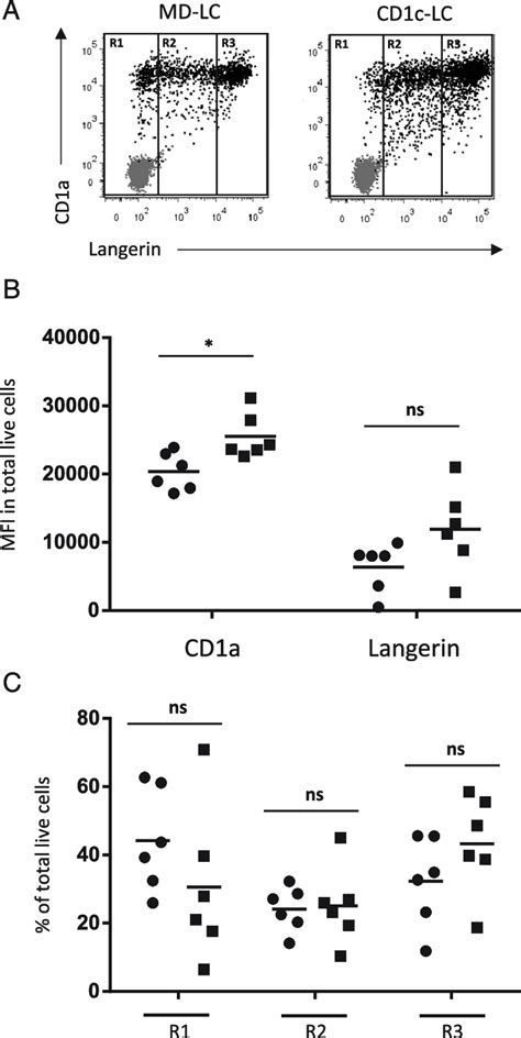 Monocytes And CD1c Blood DCs Have Comparable Potential To