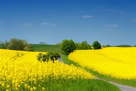 Pilgerweg Mecklenburgische Seenplatte Streckenf Hrung B Etappe Wildganz