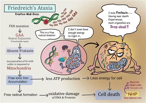Friedreich's Ataxia - Friedreich’s ataxia: absent frataxin - Creative Med Doses
